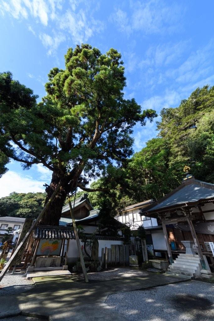 二番札所 日照山 無量寿院 極楽寺（にっしょうざん むりょうじゅいん ごくらくじ）&nbsp;