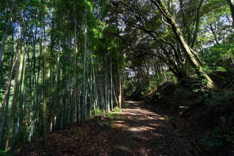 二番札所 日照山 無量寿院 極楽寺（にっしょうざん むりょうじゅいん ごくらくじ）&nbsp;