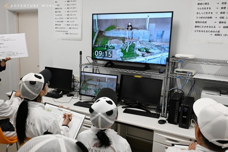 パンダの飼育スタッフになってみぃひん？ アドベンチャーワールドならではの新アトラクション誕生！