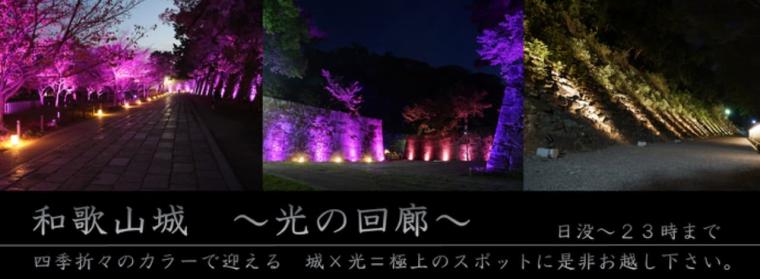 2025 年の冬は、光に包まれた和歌山市へ！ 街中が輝くライトアップや大規模ドローンショーが開催