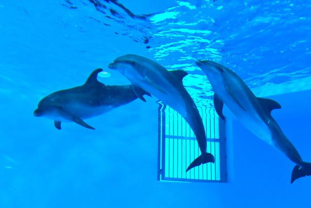 雨の日でも OK！親子で非日常の遊びが体験できる最新スポット