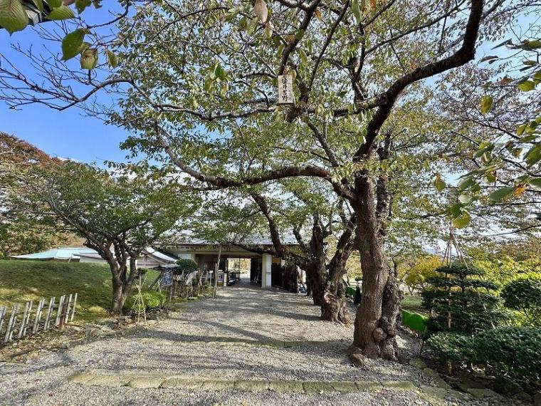 北海道で唯一！幕末の情緒を味わえる名スポット・松前町って知ってる？歴史・絶景・グルメを満喫！【しろまるドライブ寄り道⑬】