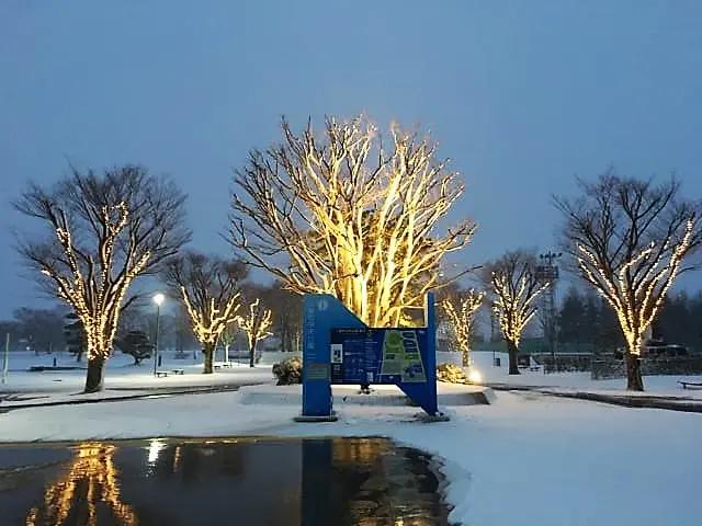 【富山イルミネーションまとめ 2025-2026】定番のまちなかスポットや世界遺産の合掌造りライトアップも