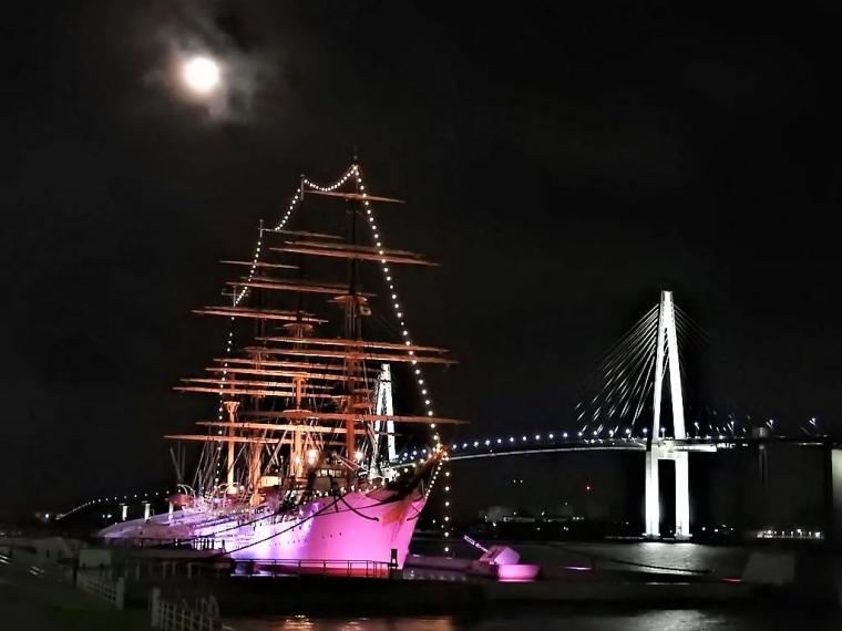 【富山イルミネーションまとめ 2025-2026】定番のまちなかスポットや世界遺産の合掌造りライトアップも