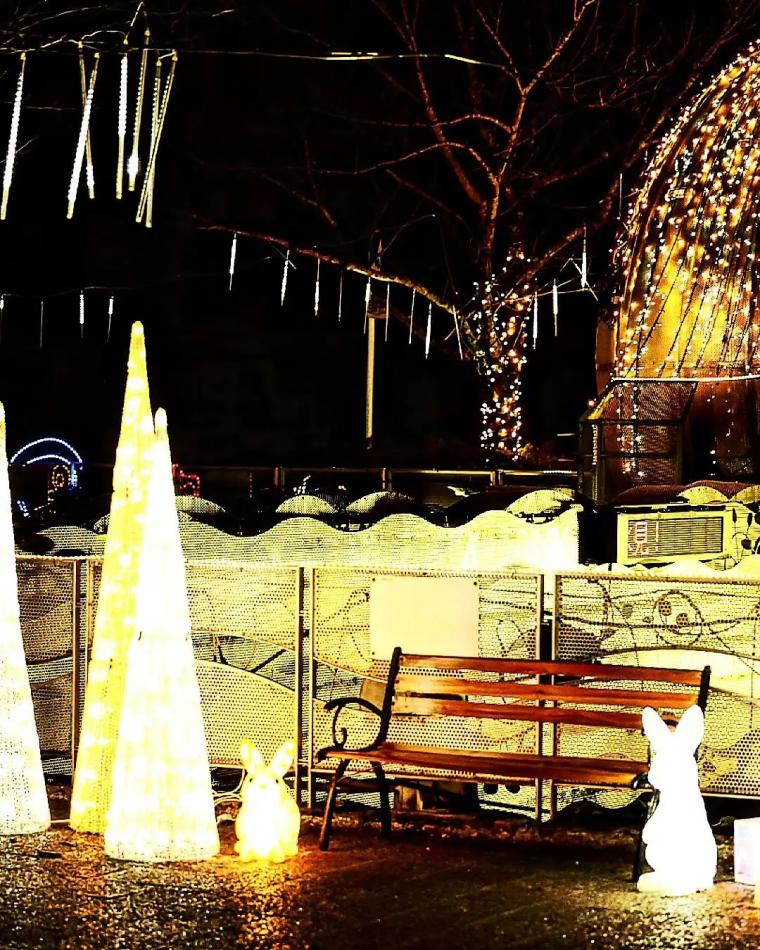 【富山イルミネーションまとめ 2025-2026】定番のまちなかスポットや世界遺産の合掌造りライトアップも