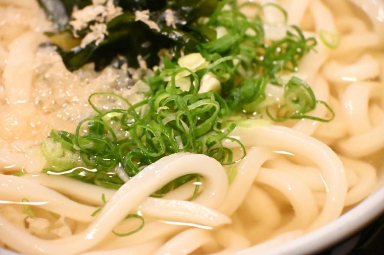 量・価格・旨さ◎自家製にこだわるセルフうどん「高知うどん もとちか」