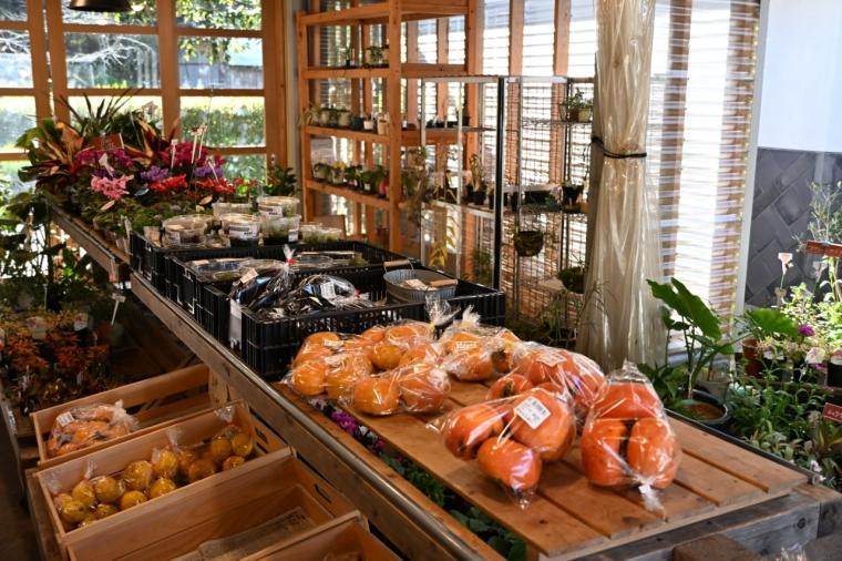 【高知】名物！紫黒うどんは必食！「直販所 山と川」