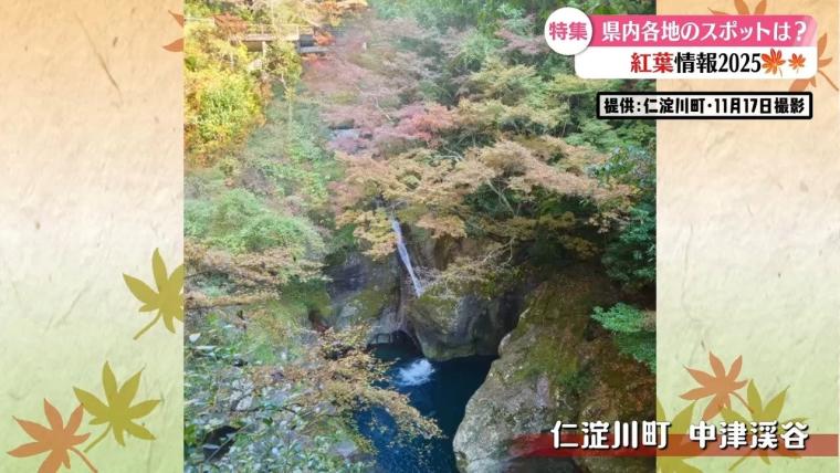 仁淀川を望む天然温泉×サンゴライト化粧水風呂も「亀の井ホテル 高知」