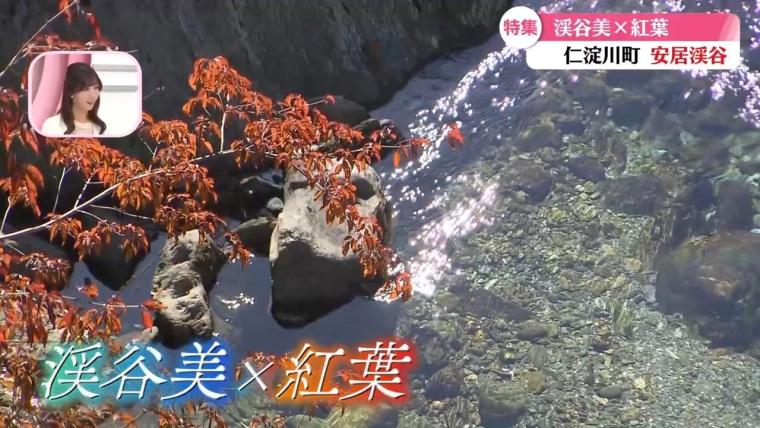 仁淀川を望む天然温泉×サンゴライト化粧水風呂も「亀の井ホテル 高知」