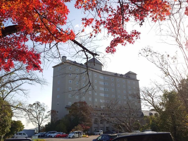 仁淀川を望む天然温泉×サンゴライト化粧水風呂も「亀の井ホテル 高知」