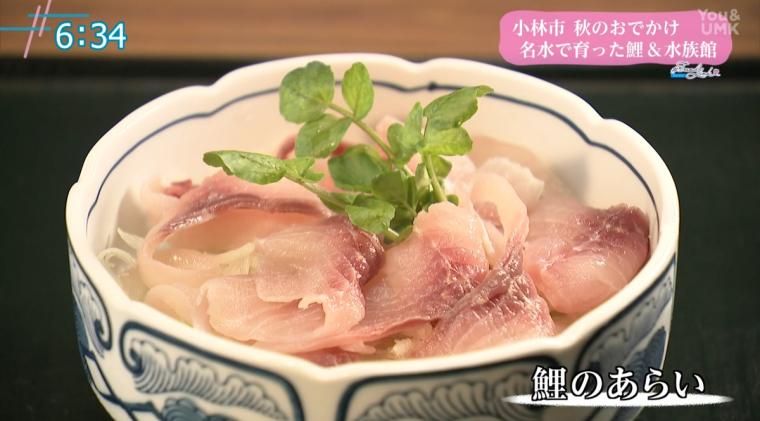 宮崎県小林市・出の山公園で味わう“鯉料理”と”水族館”