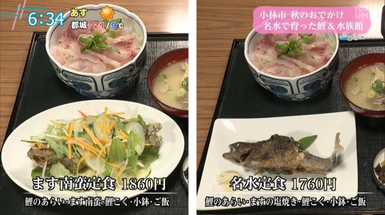 宮崎県小林市・出の山公園で味わう“鯉料理”と”水族館”