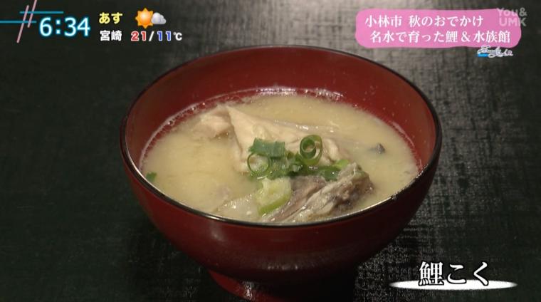 宮崎県小林市・出の山公園で味わう“鯉料理”と”水族館”