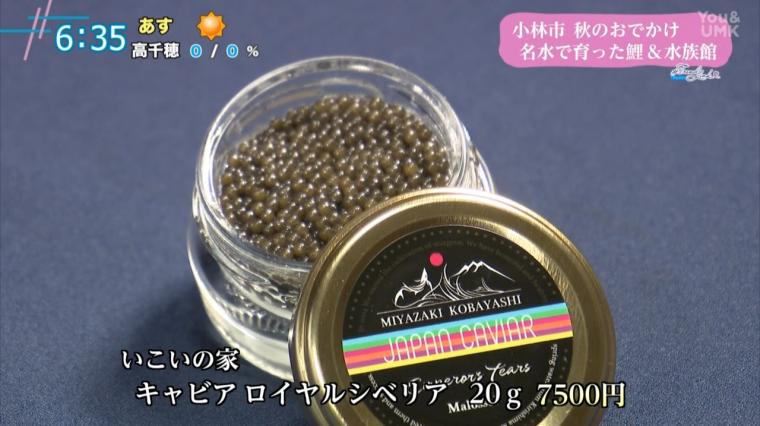 宮崎県小林市・出の山公園で味わう“鯉料理”と”水族館”