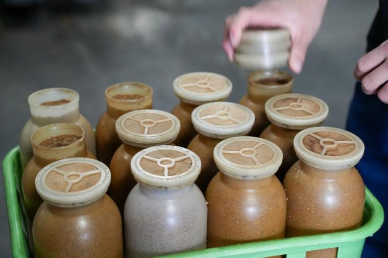 鳥取の山奥にあるキノコ工場！見学＆もぎ採り体験を楽しめる！