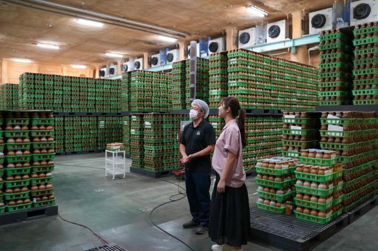 鳥取の山奥にあるキノコ工場！見学＆もぎ採り体験を楽しめる！