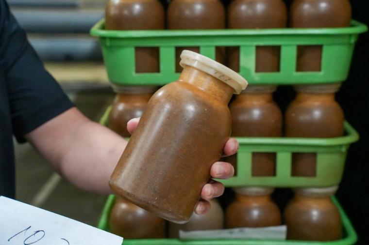 鳥取の山奥にあるキノコ工場！見学＆もぎ採り体験を楽しめる！