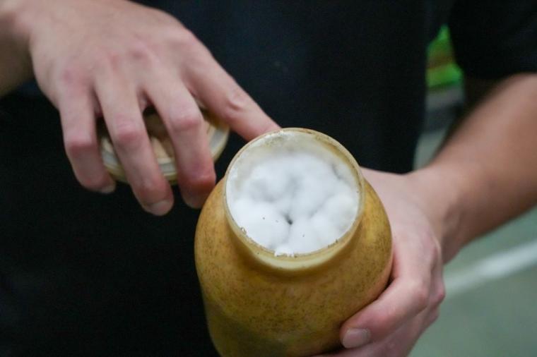 鳥取の山奥にあるキノコ工場！見学＆もぎ採り体験を楽しめる！