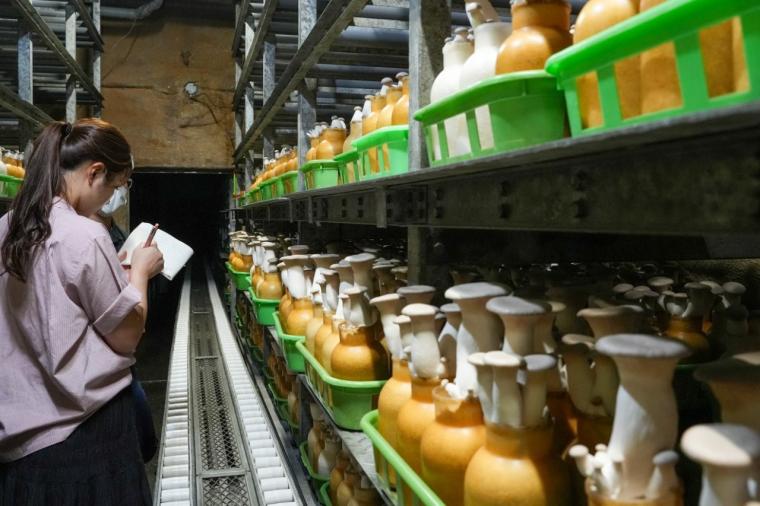 鳥取の山奥にあるキノコ工場！見学＆もぎ採り体験を楽しめる！