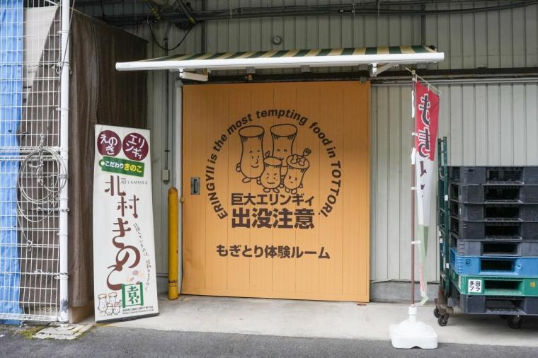 鳥取の山奥にあるキノコ工場！見学＆もぎ採り体験を楽しめる！