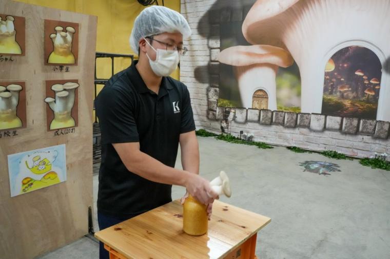 鳥取の山奥にあるキノコ工場！見学＆もぎ採り体験を楽しめる！