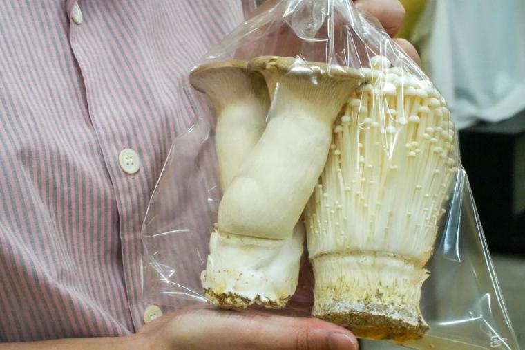 鳥取の山奥にあるキノコ工場！見学＆もぎ採り体験を楽しめる！