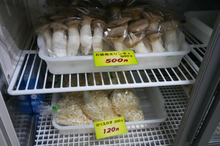 鳥取の山奥にあるキノコ工場！見学＆もぎ採り体験を楽しめる！