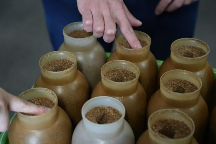 鳥取の山奥にあるキノコ工場！見学＆もぎ採り体験を楽しめる！