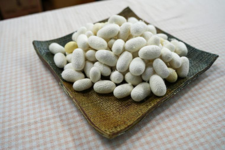 【島根県浜田市】日本一に輝いた美又温泉！年末年始にもおすすめな癒し旅モデルコース