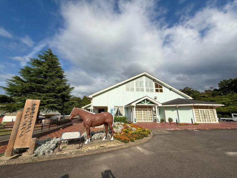 【島根県浜田市】日本一に輝いた美又温泉！年末年始にもおすすめな癒し旅モデルコース