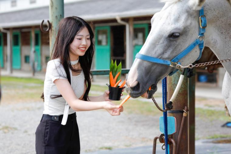 【島根県浜田市】日本一に輝いた美又温泉！年末年始にもおすすめな癒し旅モデルコース
