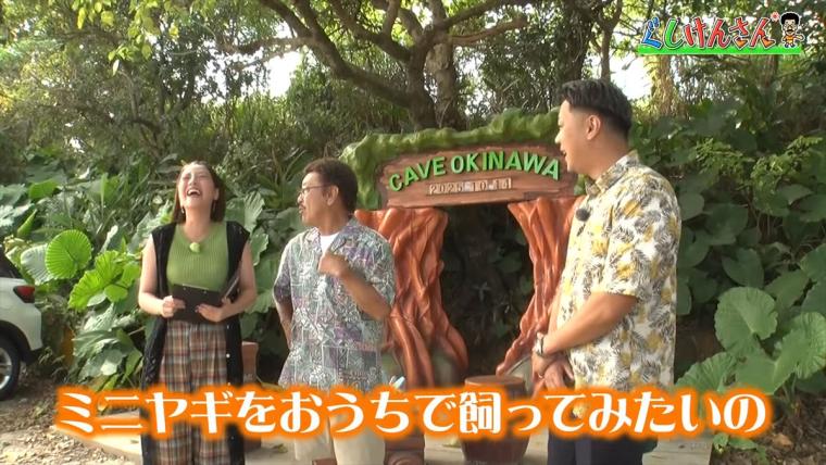 具志堅用高がヤギを飼う!?鍾乳洞にカフェ、動物とも触れ合える CAVE OKINAWA（ケイブ オキナワ）で大はしゃぎ！【ぐしけんさん】