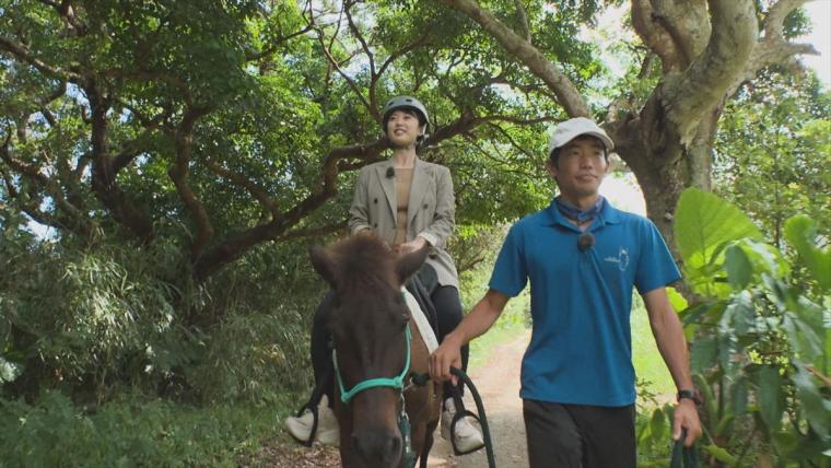 与那国馬の温もりに癒やされる！南城市の自然を満喫する乗馬体験「うみかぜホースファーム」（南城市）