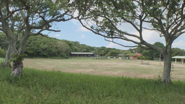 与那国馬の温もりに癒やされる！南城市の自然を満喫する乗馬体験「うみかぜホースファーム」（南城市）