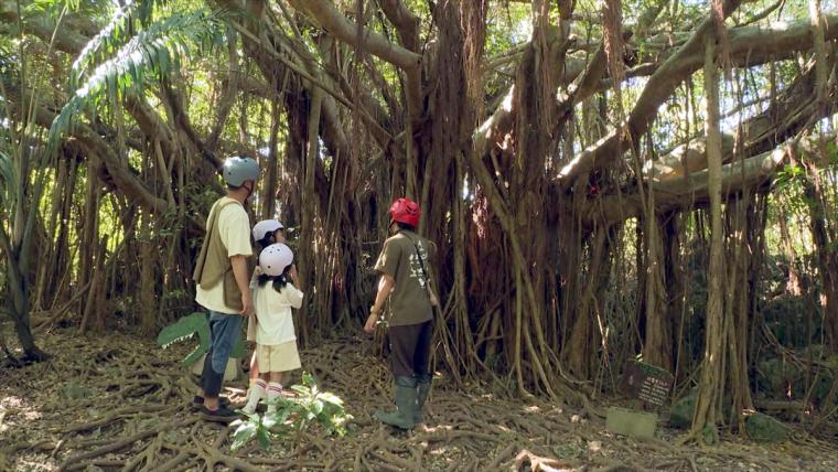 親子で楽しむキャンプ体験！バギー遊びもキャンプ飯も満喫できる「糸満市観光農園アウトドアパーク」（糸満市）