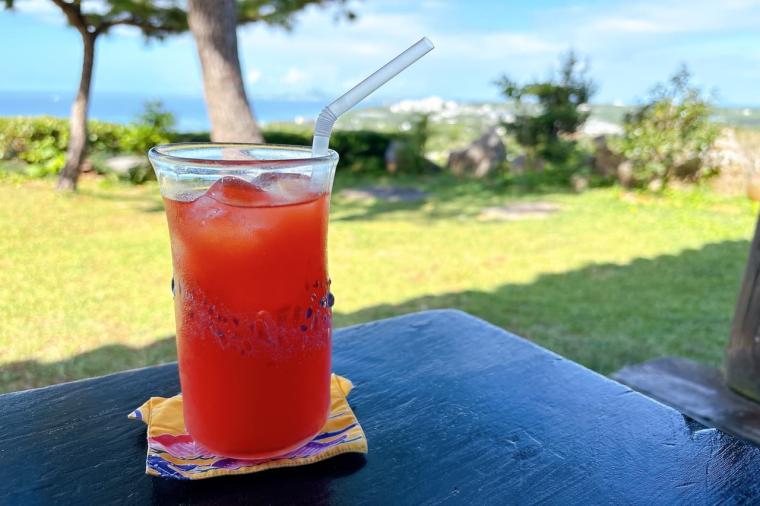 沖縄の絶景ピザスポット「ピザ喫茶 花人逢（かじんほう）」で過ごす至福の時間（本部町）