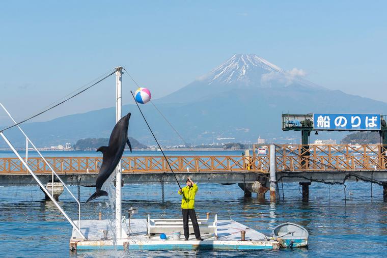あわしまマリンパーク