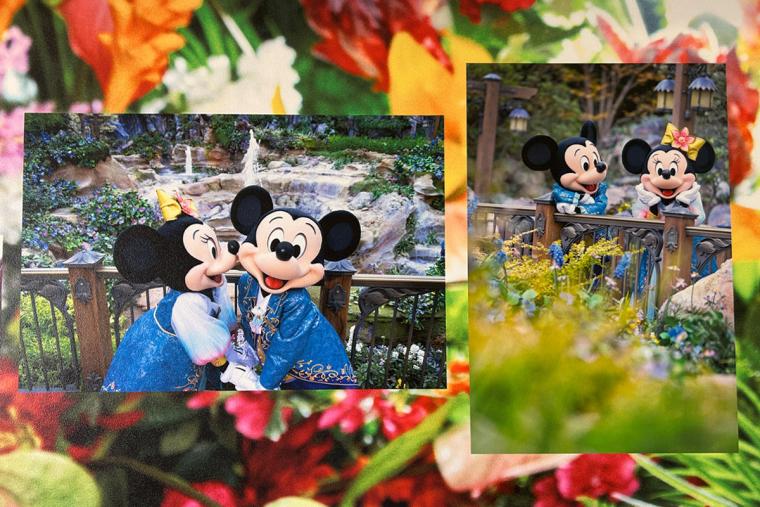 ディズニーセレブレーションホテル「イマジニング・ザ・マジック」2026年