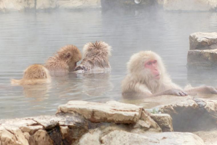 歴史の宿 金具屋