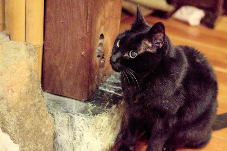 歴史の宿 金具屋