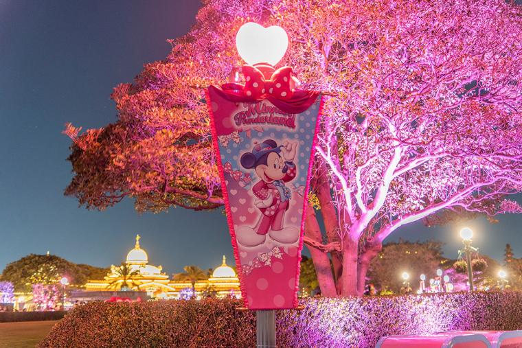 東京ディズニーランド「ファンダーナイト」2026年