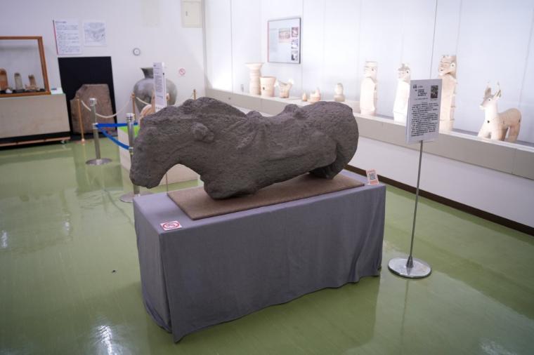 2026 年・午年に注目！馬にまつわる神社や元競走馬にもふれあう“開運うま旅”in 鳥取