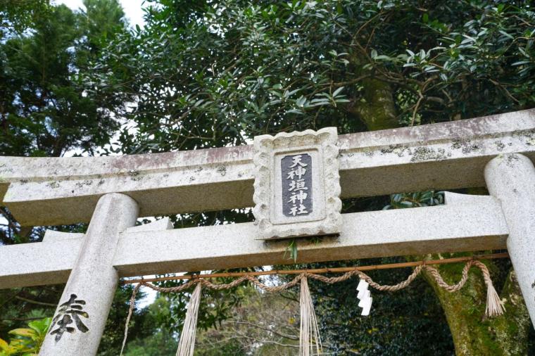 2026 年・午年に注目！馬にまつわる神社や元競走馬にもふれあう“開運うま旅”in 鳥取