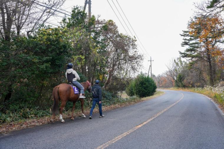 2026 年・午年に注目！馬にまつわる神社や元競走馬にもふれあう“開運うま旅”in 鳥取