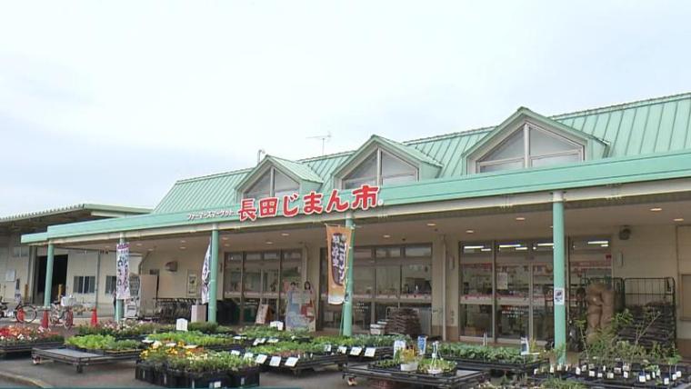 【静岡県静岡市・長田じまん市】“丸子のとろろ汁”で有名 「自然薯」が並ぶ直売所 新鮮なシラスも買える