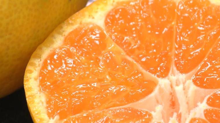 【静岡県静岡市・長田じまん市】“丸子のとろろ汁”で有名 「自然薯」が並ぶ直売所 新鮮なシラスも買える