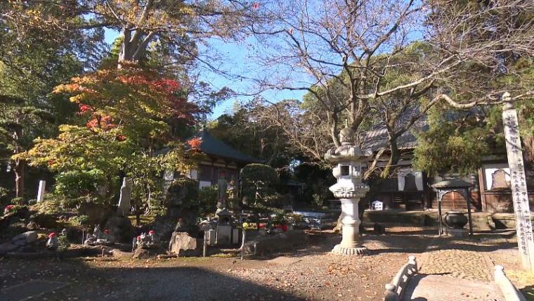 【静岡県沼津市・大泉寺】“おもしろ線香”と似すぎている“消しゴムはんこ”がある寺「鎌倉殿の 13 人」で注目