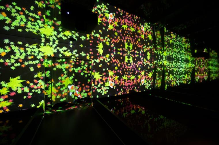 水や森とアートが融合！五感で巡る「広島もとまち水族館」の楽しみ方ガイド