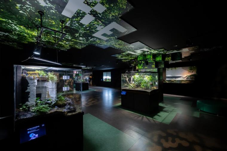 水や森とアートが融合！五感で巡る「広島もとまち水族館」の楽しみ方ガイド