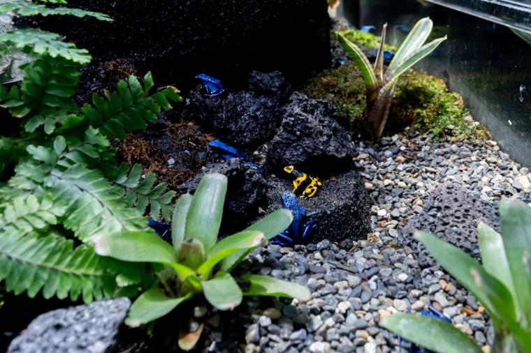 水や森とアートが融合！五感で巡る「広島もとまち水族館」の楽しみ方ガイド